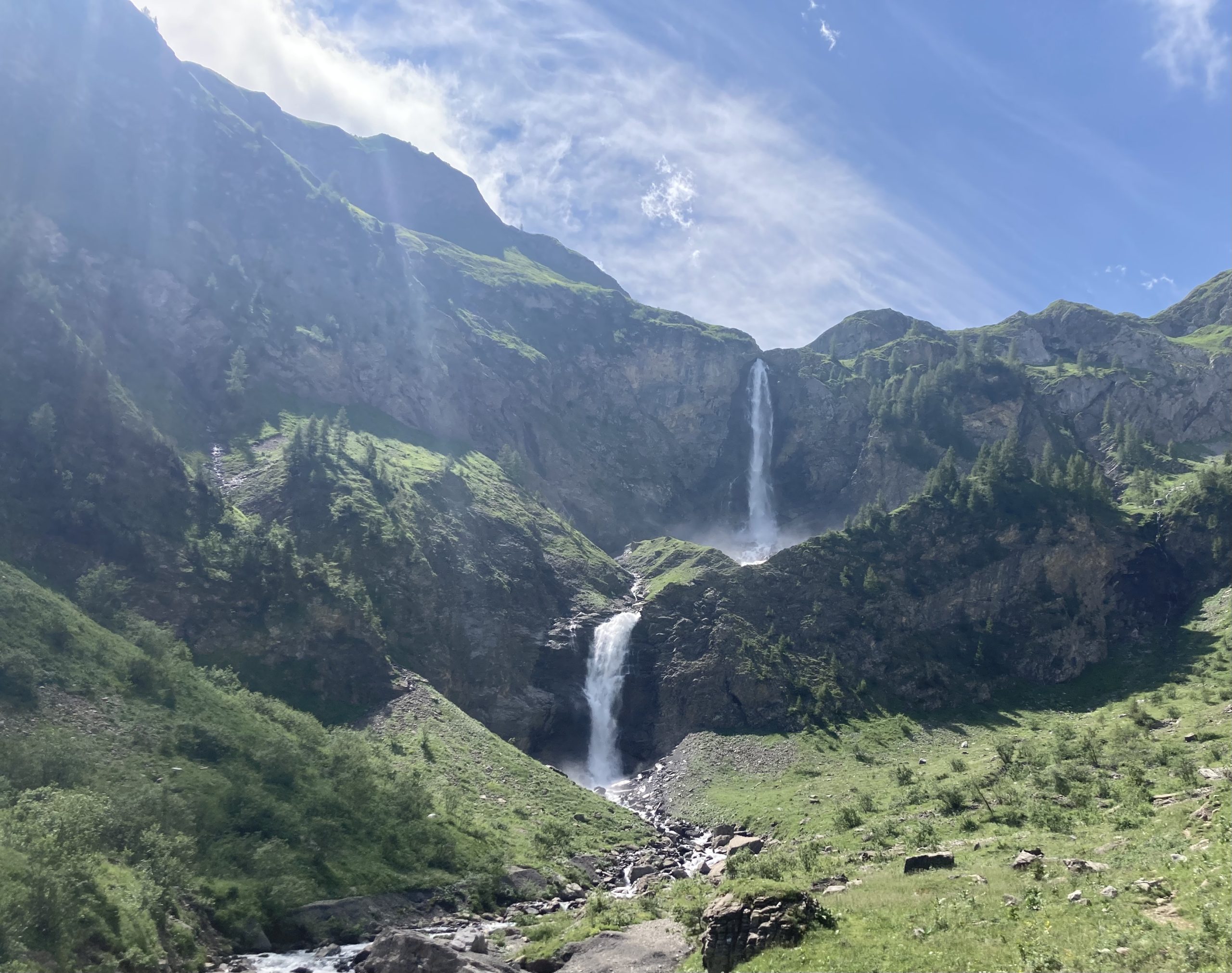 scenery of trees and mountain